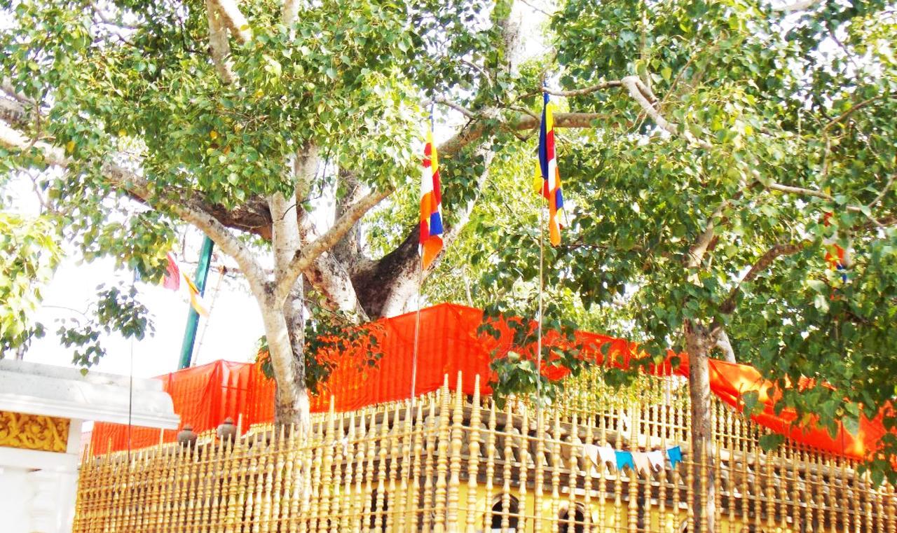 Kubura Resort Anuradhapura Ngoại thất bức ảnh