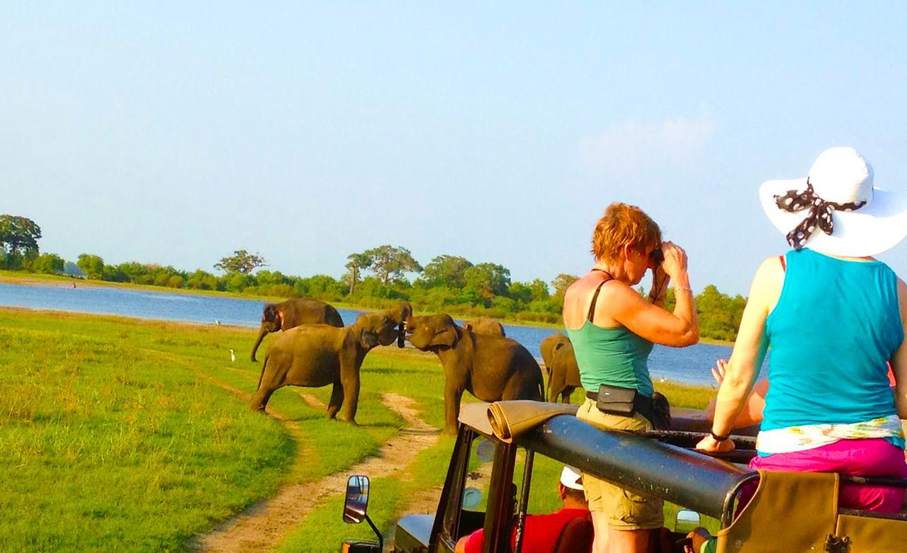 Kubura Resort Anuradhapura Ngoại thất bức ảnh
