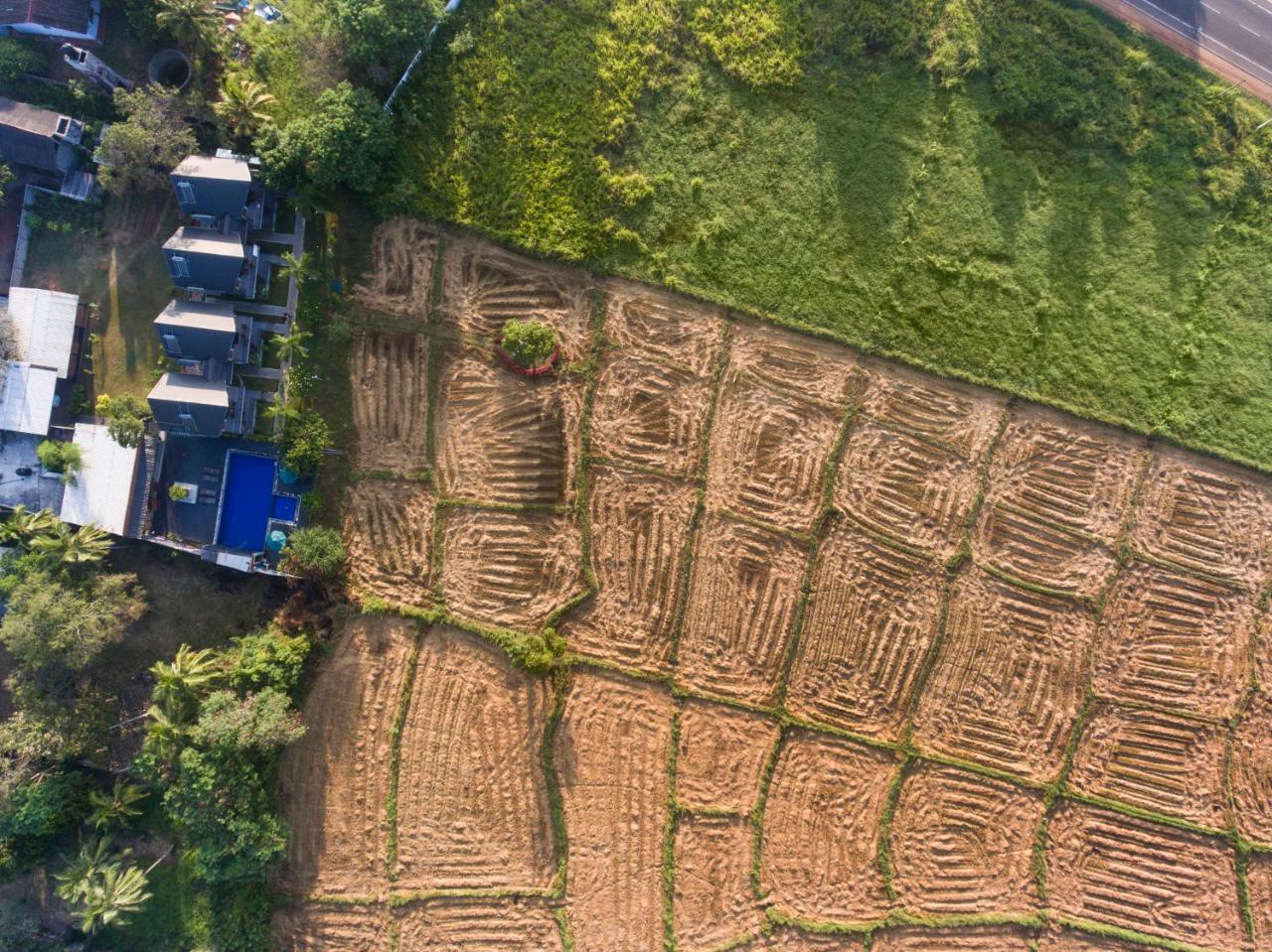 Kubura Resort Anuradhapura Ngoại thất bức ảnh